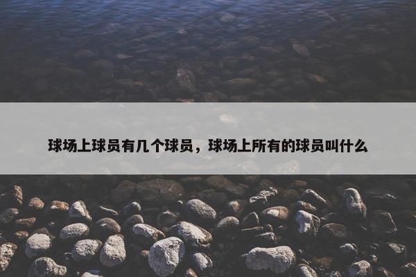 球场上球员有几个球员，球场上所有的球员叫什么