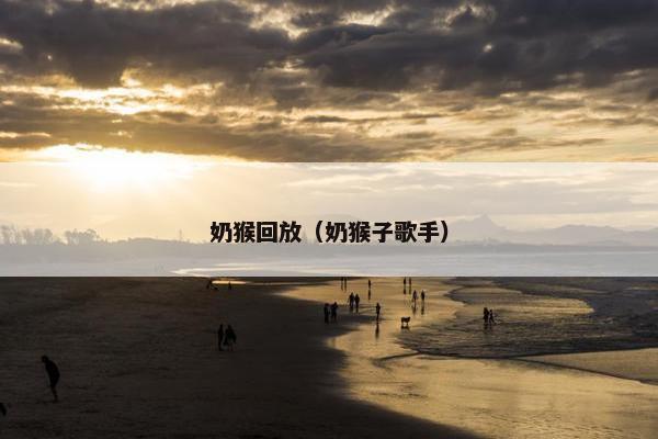 奶猴回放（奶猴子歌手）