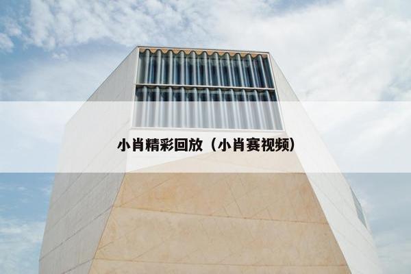 小肖精彩回放（小肖赛视频）