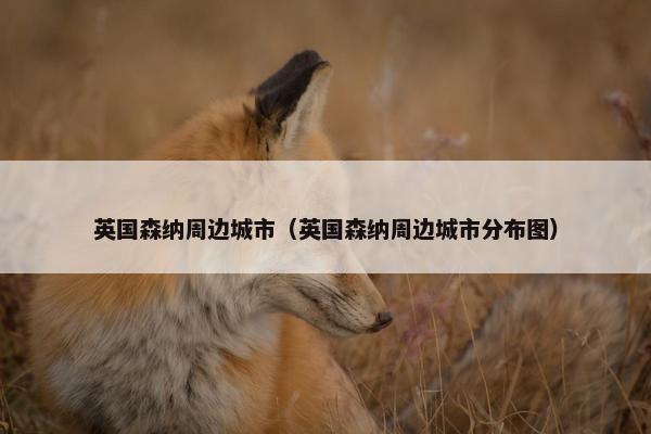 英国森纳周边城市（英国森纳周边城市分布图）