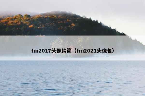 fm2017头像精简（fm2021头像包）