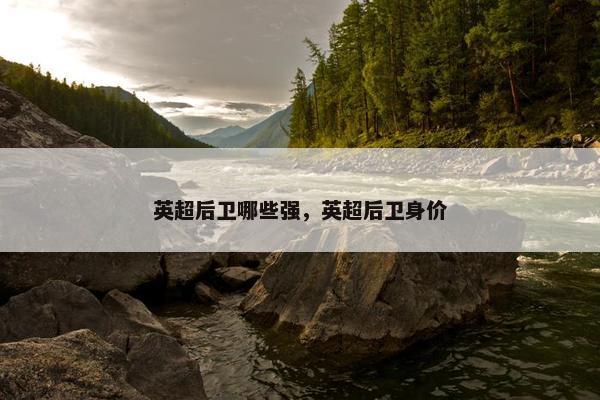 英超后卫哪些强，英超后卫身价