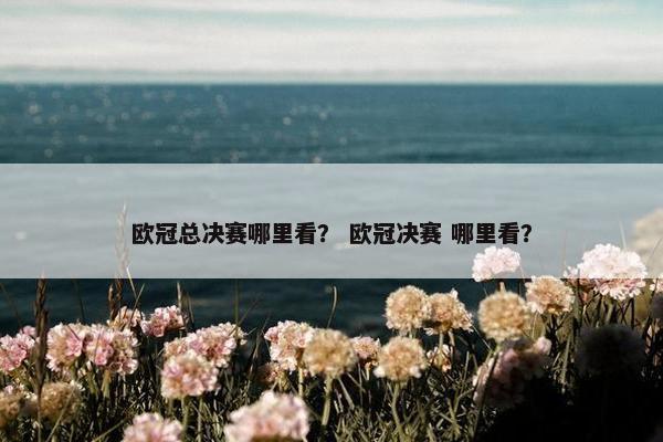 欧冠总决赛哪里看？ 欧冠决赛 哪里看？