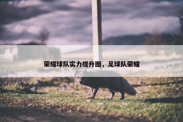 荣耀球队实力提升图，足球队荣耀
