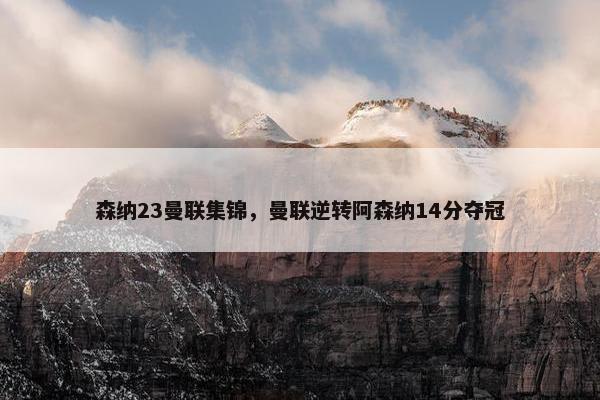 森纳23曼联集锦，曼联逆转阿森纳14分夺冠