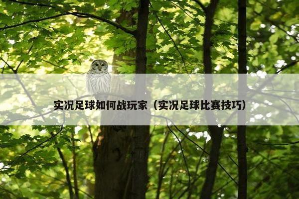实况足球如何战玩家（实况足球比赛技巧）