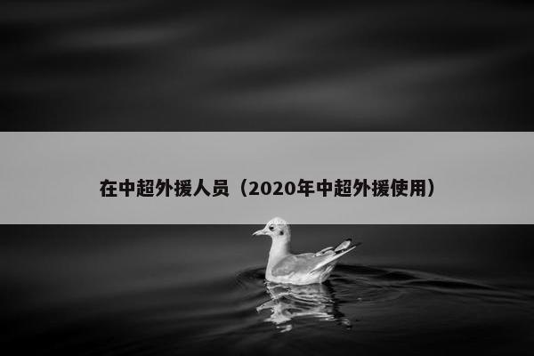 在中超外援人员（2020年中超外援使用）