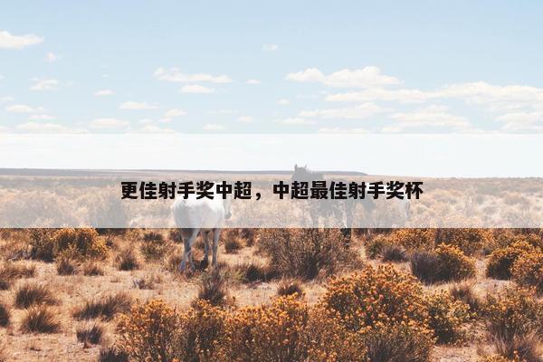 更佳射手奖中超，中超最佳射手奖杯