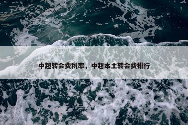 中超转会费税率，中超本土转会费排行