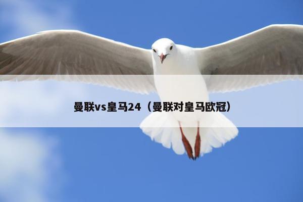 曼联vs皇马24（曼联对皇马欧冠）