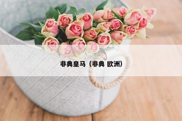 非典皇马（非典 欧洲）