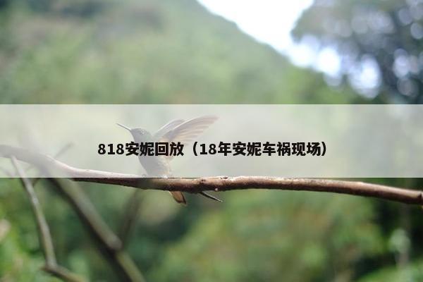 818安妮回放（18年安妮车祸现场）
