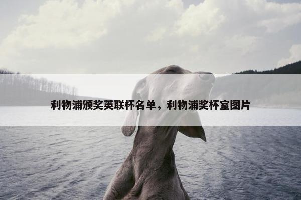 利物浦颁奖英联杯名单，利物浦奖杯室图片