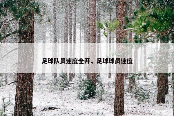 足球队员速度全开，足球球员速度