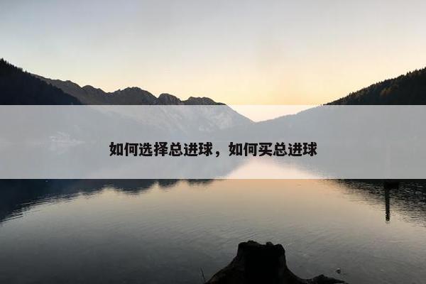 如何选择总进球，如何买总进球