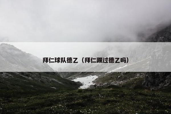 拜仁球队德乙（拜仁踢过德乙吗）