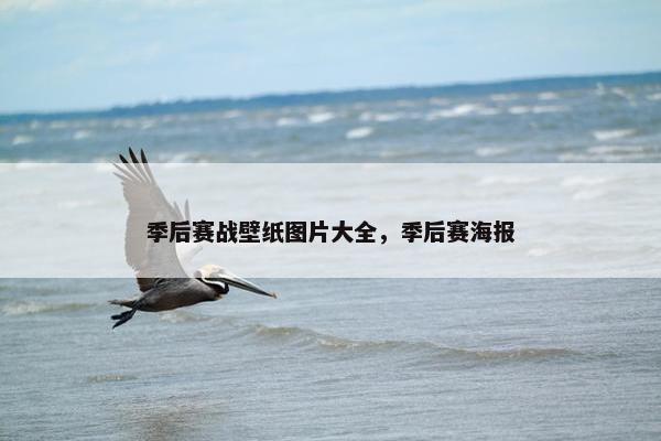 季后赛战壁纸图片大全，季后赛海报