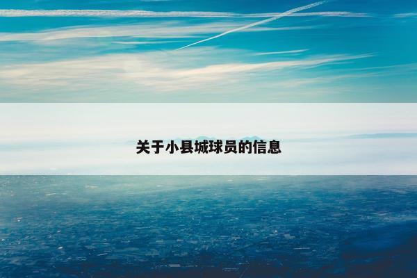 关于小县城球员的信息