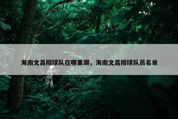 海南文昌排球队在哪里踢，海南文昌排球队员名单