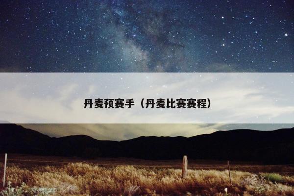 丹麦预赛手（丹麦比赛赛程）