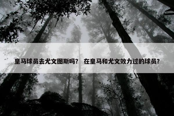 皇马球员去尤文图斯吗？ 在皇马和尤文效力过的球员？