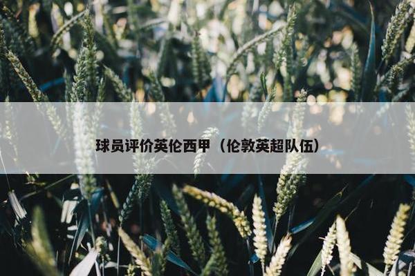球员评价英伦西甲（伦敦英超队伍）