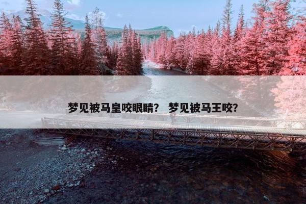 梦见被马皇咬眼睛？ 梦见被马王咬？