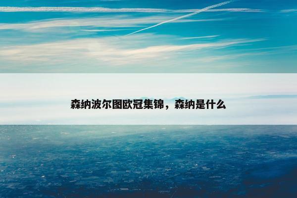 森纳波尔图欧冠集锦，森纳是什么