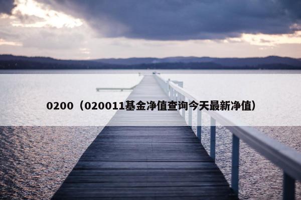 0200（020011基金净值查询今天最新净值）