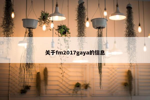 关于fm2017gaya的信息