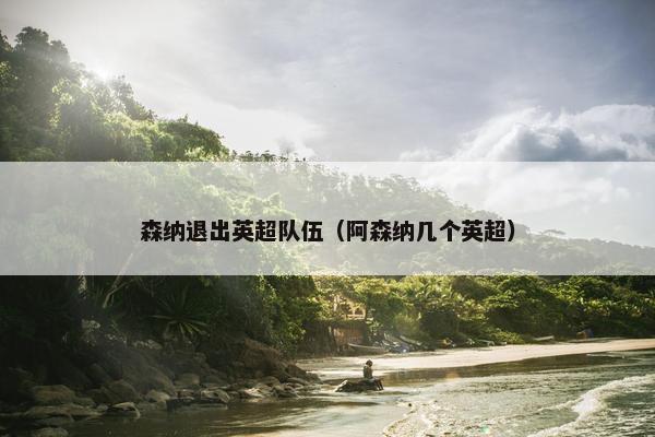 森纳退出英超队伍（阿森纳几个英超）