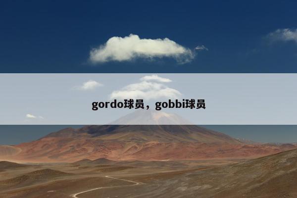 gordo球员，gobbi球员