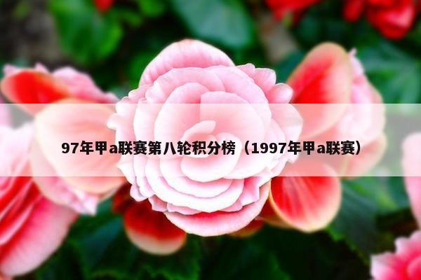 97年甲a联赛第八轮积分榜（1997年甲a联赛）
