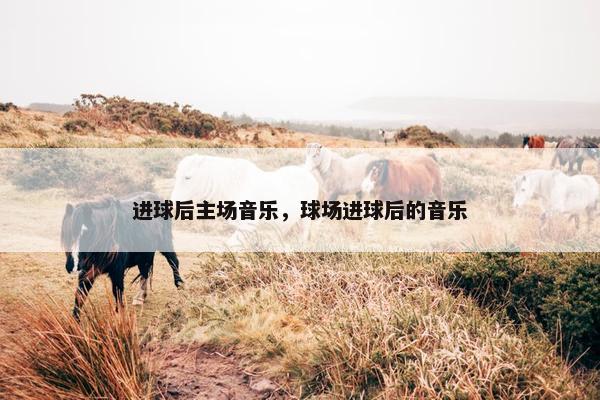 进球后主场音乐，球场进球后的音乐