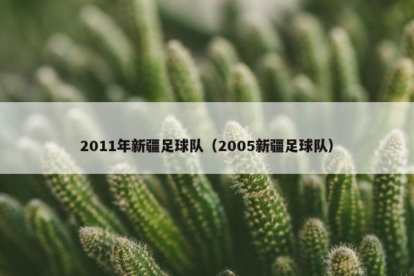 2011年新疆足球队（2005新疆足球队）