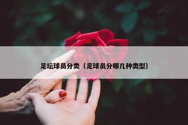 足坛球员分类（足球员分哪几种类型）