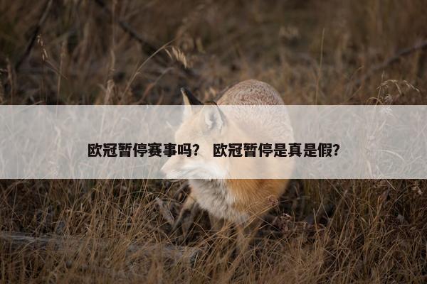 欧冠暂停赛事吗？ 欧冠暂停是真是假？