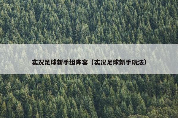 实况足球新手组阵容（实况足球新手玩法）