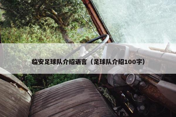 临安足球队介绍语言（足球队介绍100字）