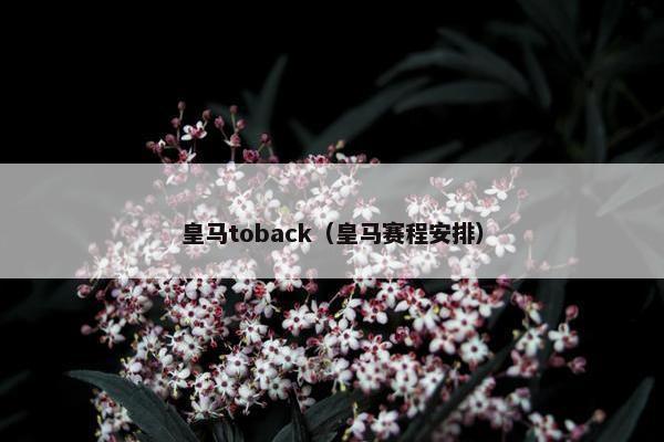 皇马toback（皇马赛程安排）