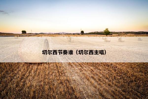 切尔西节奏谁（切尔西主唱）