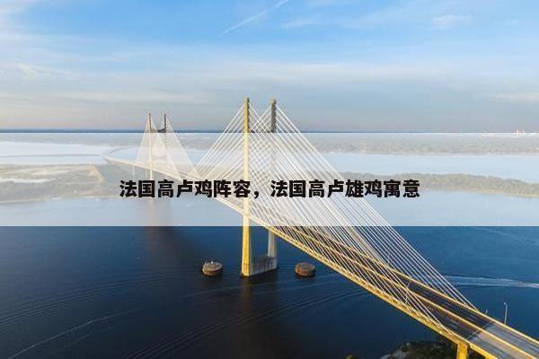 法国高卢鸡阵容，法国高卢雄鸡寓意