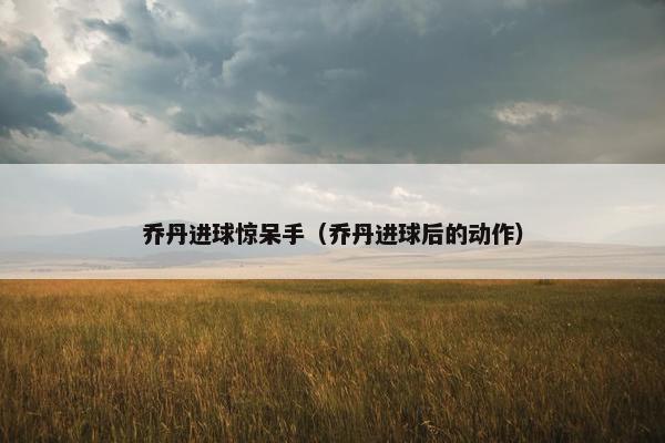 乔丹进球惊呆手（乔丹进球后的动作）