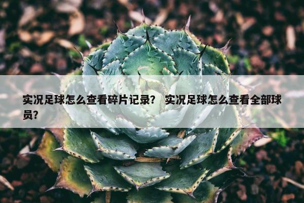 实况足球怎么查看碎片记录？ 实况足球怎么查看全部球员？
