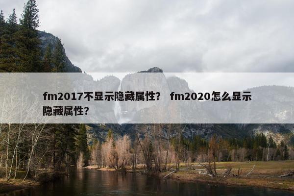 fm2017不显示隐藏属性? fm2020怎么显示隐藏属性? fm2017不显示隐藏属性? fm2020怎么显示隐藏属性?