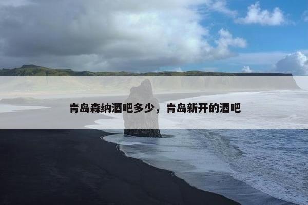 青岛森纳酒吧多少，青岛新开的酒吧