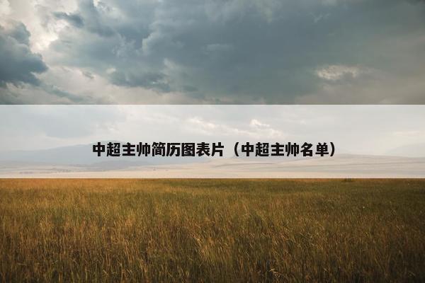中超主帅简历图表片（中超主帅名单）