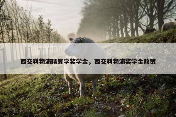 西交利物浦精算学奖学金，西交利物浦奖学金政策