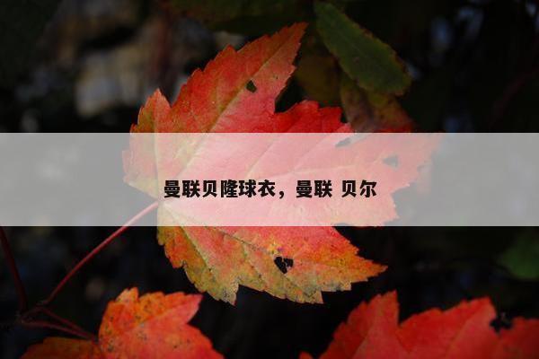 曼联贝隆球衣，曼联 贝尔