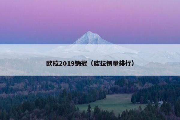 欧拉2019销冠（欧拉销量排行）